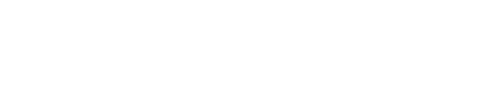 vetspace logo